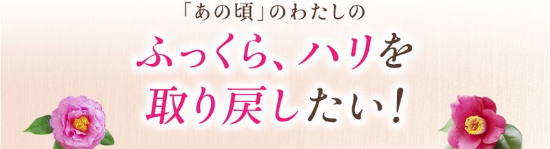 karen���T�C�g